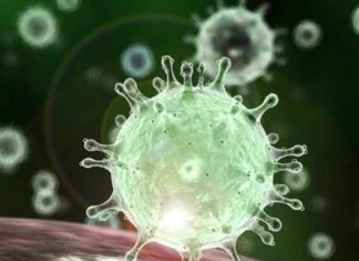 THAÏLANDE – CORONAVIRUS : 59 personnes infectées par le Covid 19 selon les autorités thaïlandaises