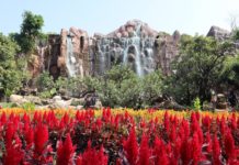 CHIANG MAI – TOURISME: En vadrouille, Eric nous fait découvrir les abords de «la rose du nord»