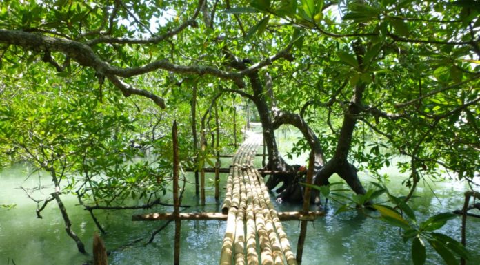 THAÏLANDE – TOURISME : Koh Yao Noi, le Sud en raccourci