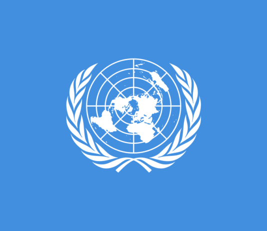 THAÏLANDE – JUSTICE: Les experts de l’ONU très inquiets du recours au crime de lèse majesté Onu