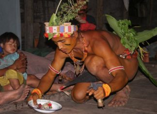 INDONÉSIE – REPORTAGE : Expédition en terre Mentawaï