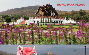 CHIANG MAI – EXCURSION: Les vadrouilles d’Eric dans le nord de la Thaïlande
