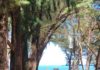 THAÏLANDE – TOURISME : Escapade reposante à Sam Roi Yot