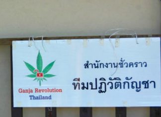 THAÏLANDE – SOCIÉTÉ: La légalisation du Cannabis, ce prometteur «trésor» thaïlandais