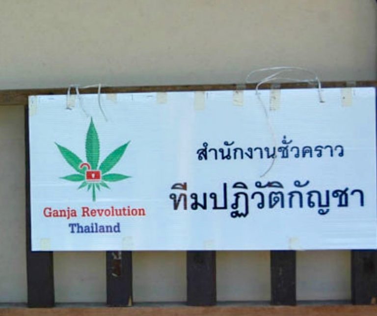 THAÏLANDE – SOCIÉTÉ: La légalisation du Cannabis, ce prometteur «trésor» thaïlandais
