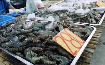 THAÏLANDE – CORONAVIRUS: Pourquoi les inégalités sociales sont aggravées par l’épidémie