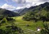 ASIE DU SUD-EST – AGRICULTURE: Une conférence en ligne de l’Inalco le 3 mars à 12 heures (heure de Paris)