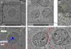 CHINE – CORONAVIRUS: Le COVID 19 photographié par des chercheurs chinois