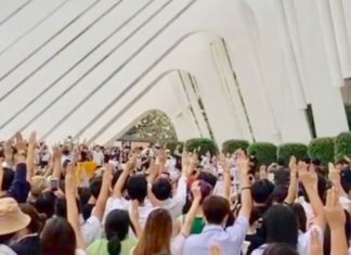 THAÏLANDE – ÉCONOMIE: Le revenu universel, nouvelle revendication des jeunes thaïlandais en pleine crise du Covid-19