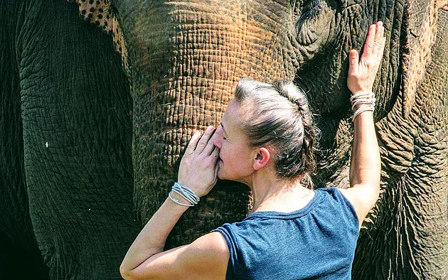 LAOS: À Luang Prabang, la renaissance du royaume du million d’éléphants