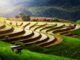 CHIANG MAI – TOURISME : Dans les hôtels thaïlandais, l’inquiétude d’une saison touristique déjà gâchée