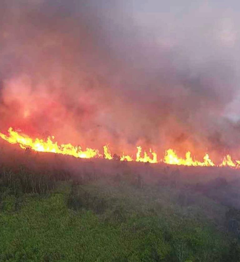 INDONÉSIE – ENVIRONNEMENT: Des pluies artificielles contre les feux de forêts
