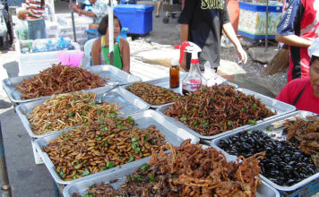 GASTRONOMIE: Le plus grand salon des insectes comestibles se tiendra à Bangkok le 30 mai