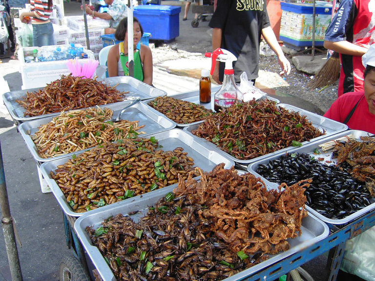 GASTRONOMIE: Le plus grand salon des insectes comestibles se tiendra à Bangkok le 30 mai