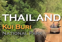 THAILANDE – DOCUMENTAIRE: La belle leçon parisienne de «Love & Bananas»