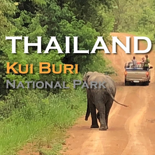 THAILANDE: Le WWF fait pression sur l’Office du tourisme