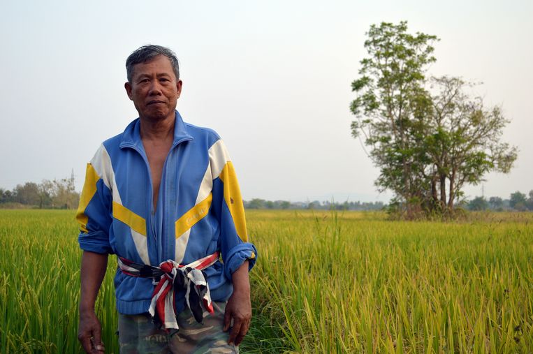 THAÏLANDE: Les producteurs de riz s’estiment de moins en moins soutenus