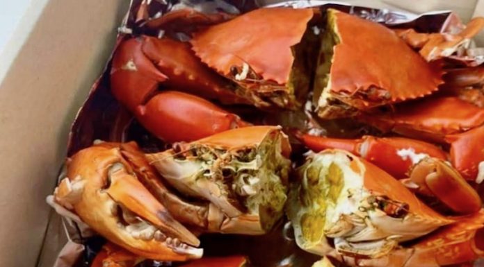 THAÏLANDE – JUSTICE: Fruits de mer bradés, restaurateurs escrocs condamnés à mille ans de prison