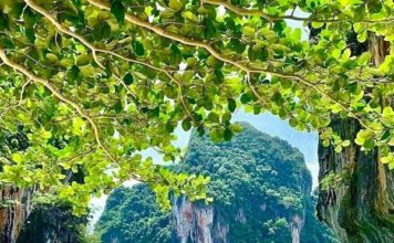 GAVROCHE SERVICE – THAÏLANDE : Quel type de visas « retraite » au «pays du sourire» ?