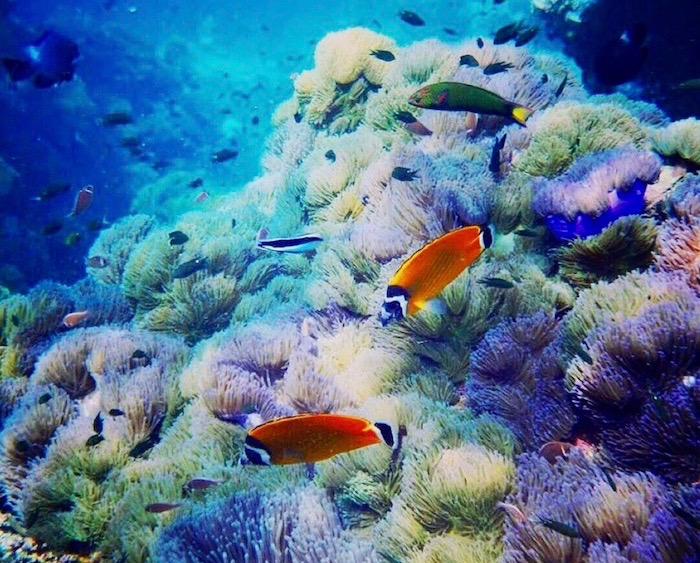 corail Thaïlande