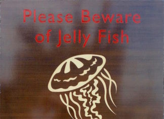 THAÏLANDE – SANTÉ : dangers à la plage !