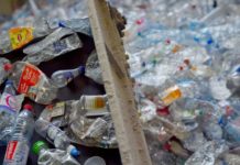 plastique déchets
