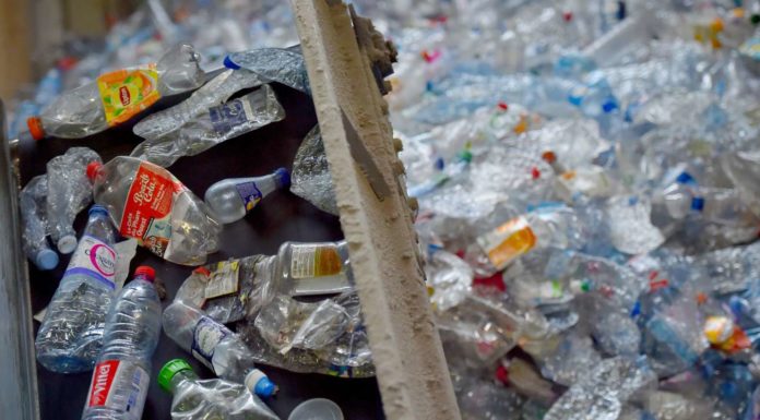 plastique déchets
