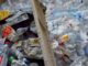 plastique déchets