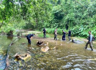 THAÏLANDE – ENVIRONNEMENT: La chasse à l’éléphant se poursuit à Kaeng Krachan