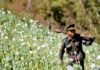 opium Birmanie