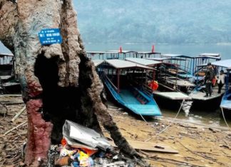 VIETNAM – ÉCONOMIE: L’écologie, nouveau filon économique vietnamien