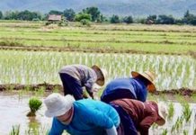 PHILIPPINES – POLITIQUE: Les grands propriétaires, premiers fans du populiste Duterte