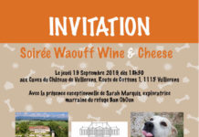 THAILANDE – SUISSE: Nos amis les chiens du Siam ont besoin de l’entraide européenne