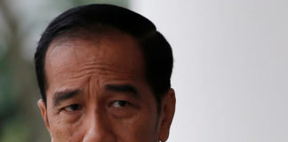 Jokowi indonésie