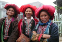 VIETNAM – DESTINATION: A Sapa, où les rizières ont rendez-vous avec le ciel