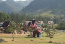 THAÏLANDE – TOURISME: Un voyage bucolique au «jardin des abeilles» de Suan Phueng