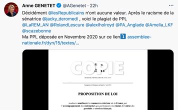 ASIE – FRANCE: Le torchon brûle entre députés et sénateurs des français de l’étranger