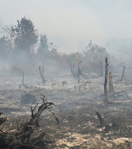 MALAISIE – POLLUTION: La «brume sèche», ce nuage toxique qui s’abat sur l’Asie du sud est