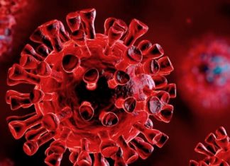 covid virus