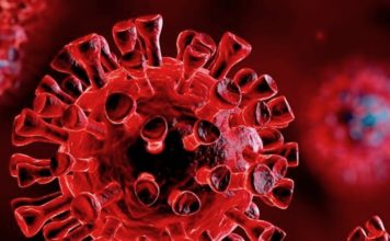 THAÏLANDE – FRANCE : Le CNRS est désormais associé à l’université Mahidol à Bangkok covid virus