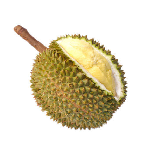 THAILANDE – CHINE: Pékin et Bangkok rêvent de transformer Yala en «ville du Durian»
