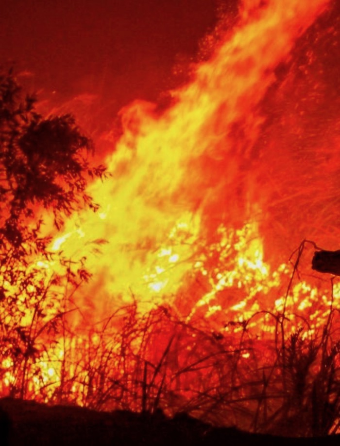 INDONÉSIE – ENVIRONNEMENT : Le cauchemar des feux de forêts indonésiens se poursuit