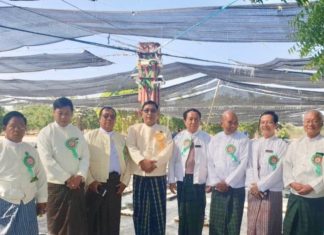 BIRMANIE – MINES: Plus de deux millions de dollars pour la prochaine vente de jade au Myanmar Gems Emporium du 2 au 7 janvier