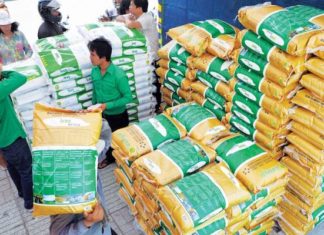 riz du Cambodge