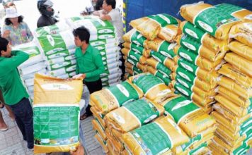 CAMBODGE – SOCIÉTÉ: La chute du prix du riz, drame pour la paysannerie riz du Cambodge