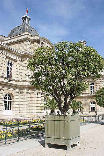 CAMBODGE – OPPOSITION: L’opposant en exil Sam Rainsy rentre à Paris où le Sénat Français se mobilise
