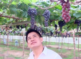 THAÏLANDE – POLITIQUE: Le ministre, les courbettes, le Covid et les policiers…