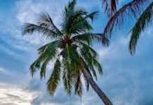 THAÏLANDE – COVID : Rouvrir la Thaïlande en octobre aux touristes, plus personne n’y croit Patong beach