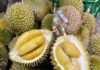 durian Thaïlande