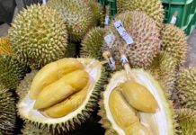 durian Thaïlande